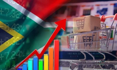 Landscape image of a South African flag with flow charts over an e-commerce shop