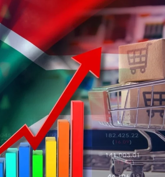 Landscape image of a South African flag with flow charts over an e-commerce shop