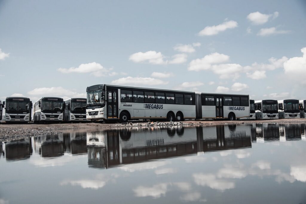 Megabusses lined up in a parking lot.